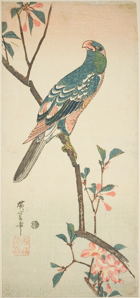 Parrot on a blossoming branch by Utagawa Hiroshige
