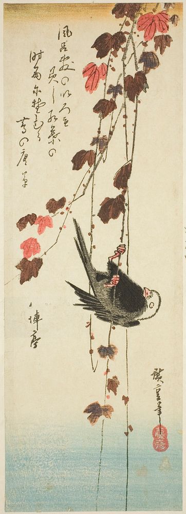 White-headed bird and ivy by Utagawa Hiroshige