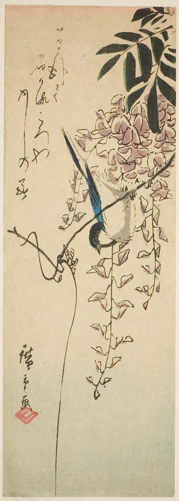 Bird on wisteria by Utagawa Hiroshige
