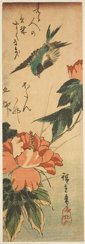 Swallow and hibiscus by Utagawa Hiroshige