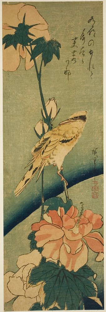 Blacked-naped oriole on hibiscus by Utagawa Hiroshige