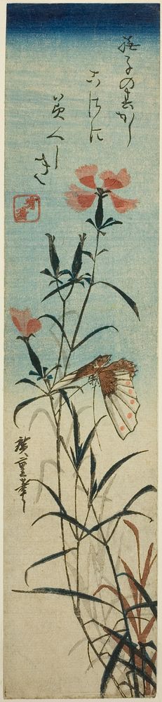 Butterfly and pinks by Utagawa Hiroshige