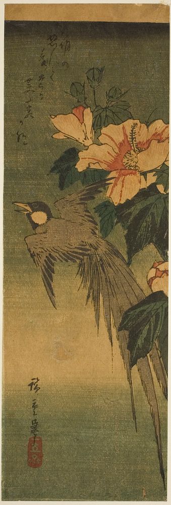 Long-tailed bird and hibiscus by Utagawa Hiroshige