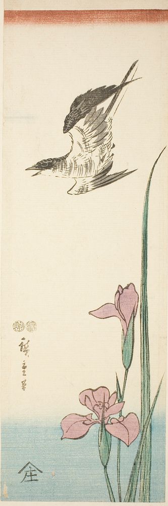 Cuckoo and iris by Utagawa Hiroshige