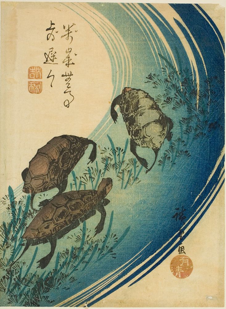 Turtles swimming in a stream by Utagawa Hiroshige