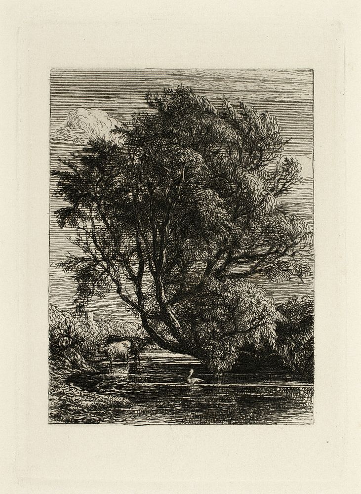 The Willow by Samuel Palmer