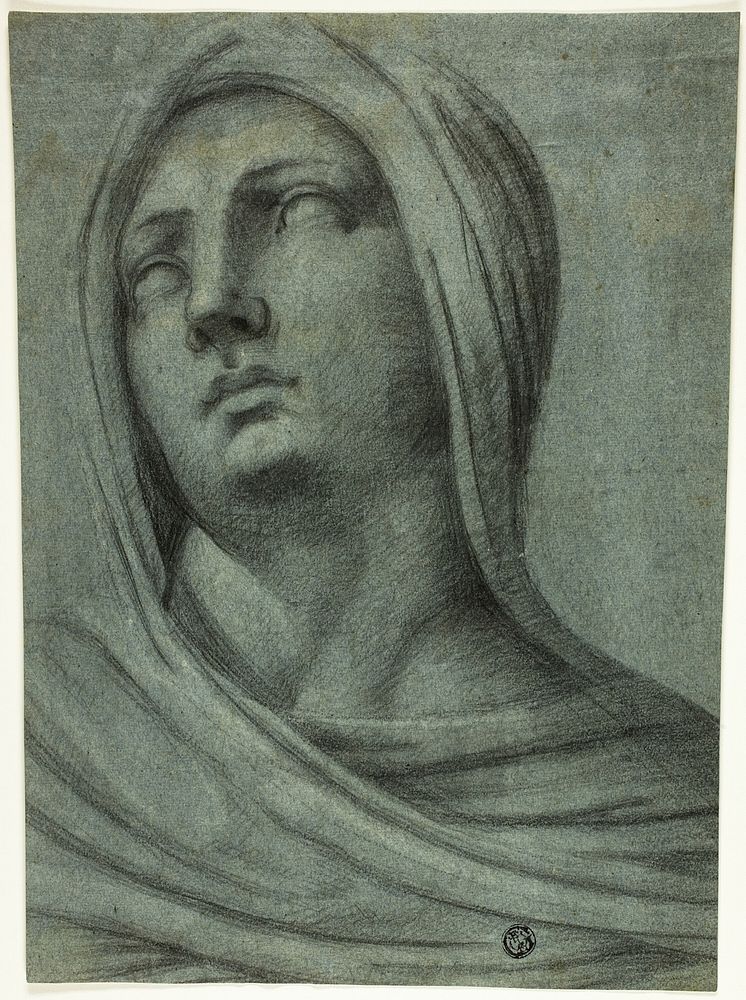 Head and Shoulders of Veiled Woman by Sebastiano del Piombo