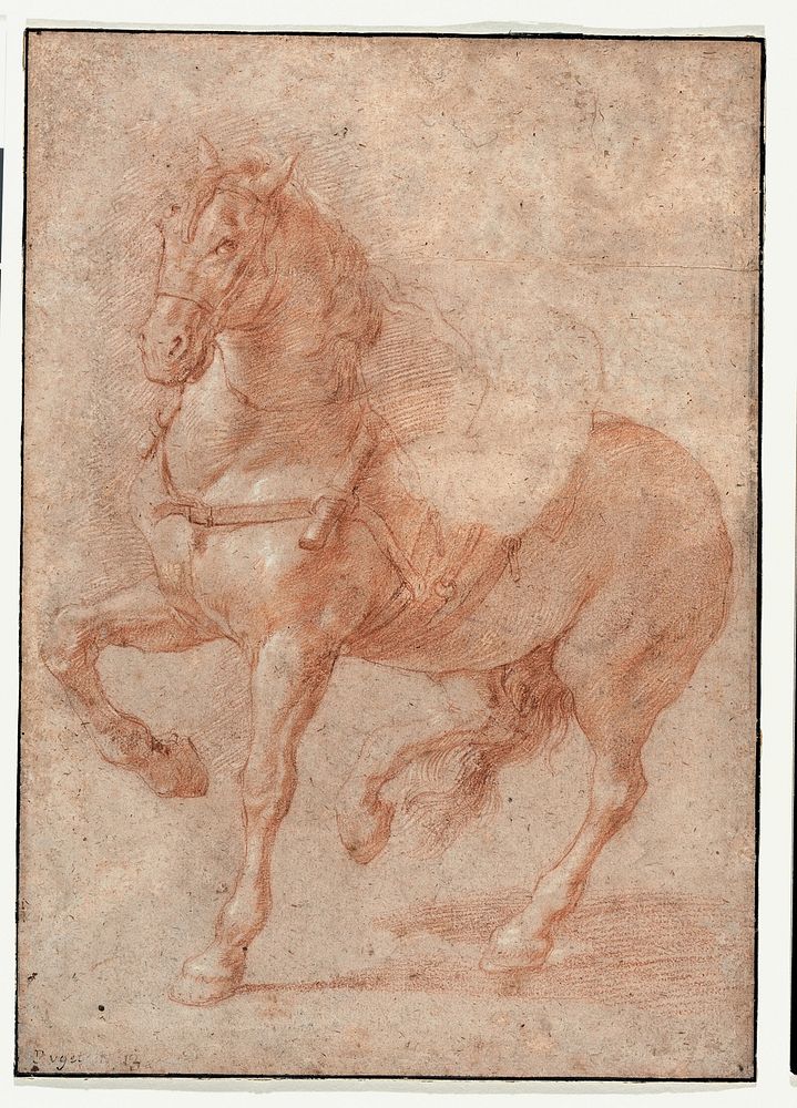 Study of Bucephalus for the Relief "Alexander and Diogenes" by Pierre Puget