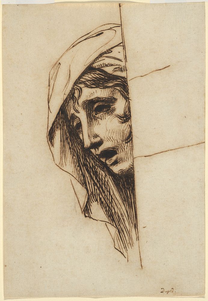 Head of a Woman by Jacques Louis David