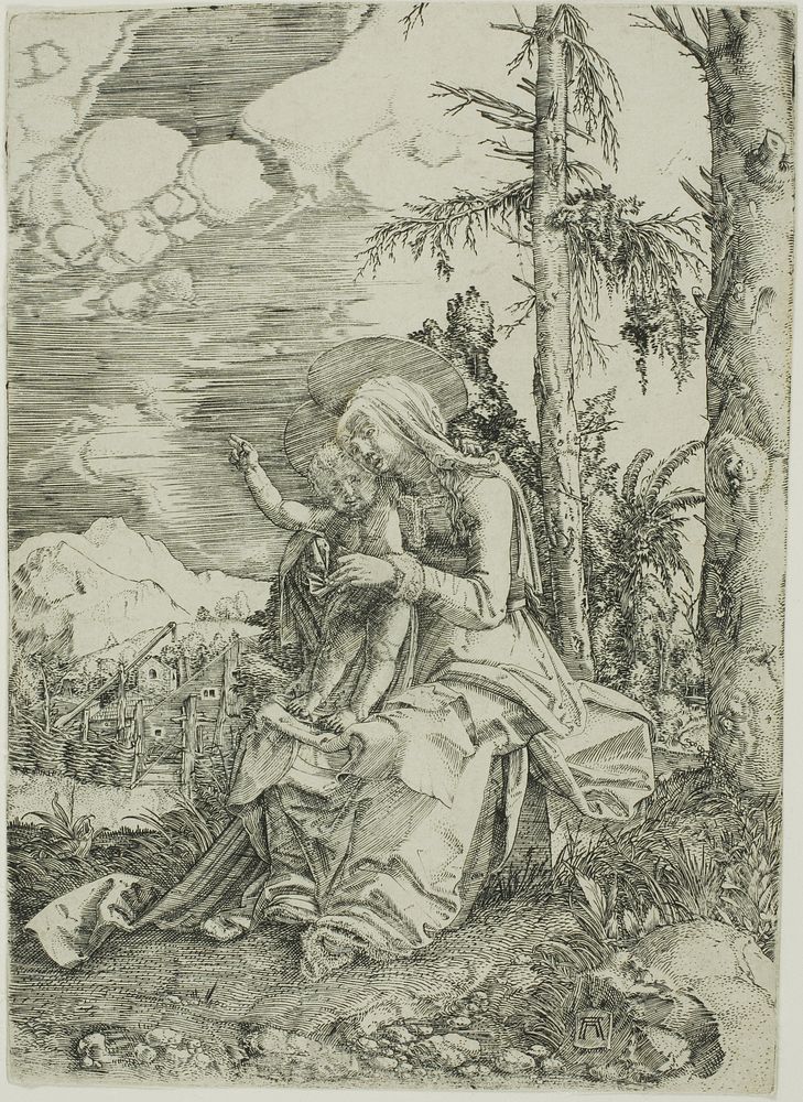 The Virgin with the Blessing Child in a Landscape by Albrecht Altdorfer