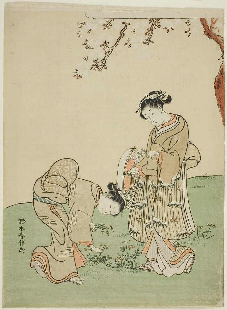 Gathering Spring Flowers by Suzuki Harunobu
