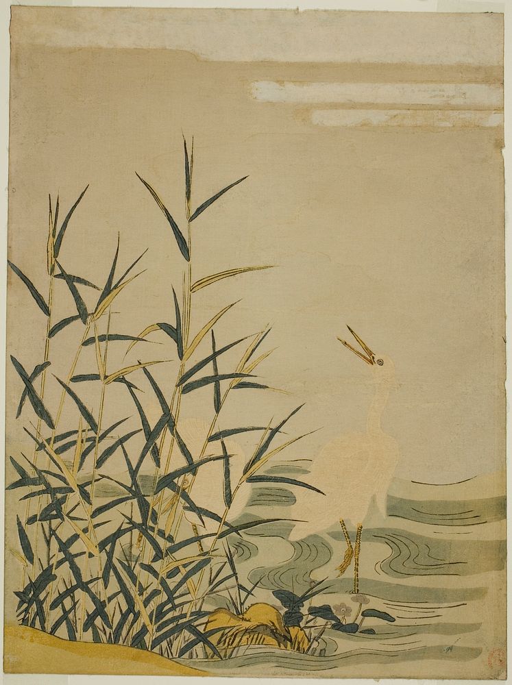 Egrets in the Reeds by Isoda Koryusai