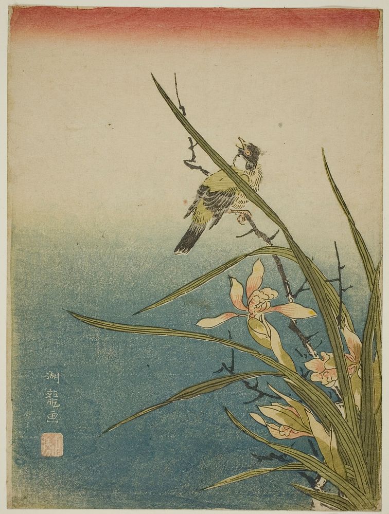 Orchid and Bird by Isoda Koryusai