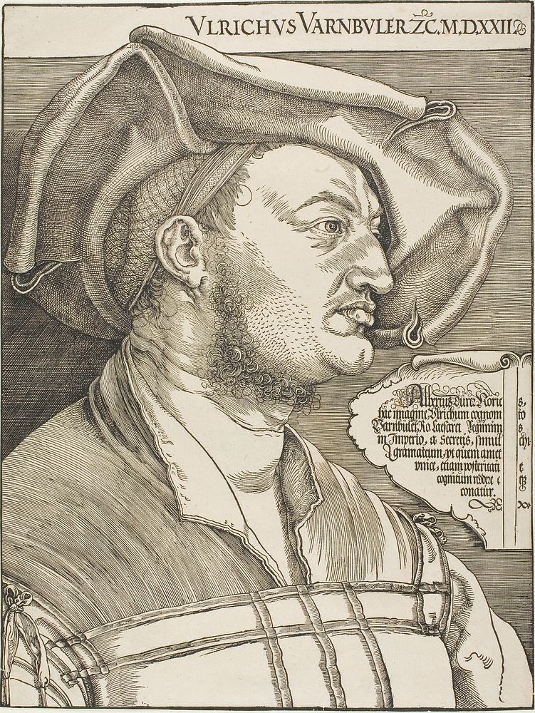 Portrait of Ulrich Varnbüler by Albrecht Dürer