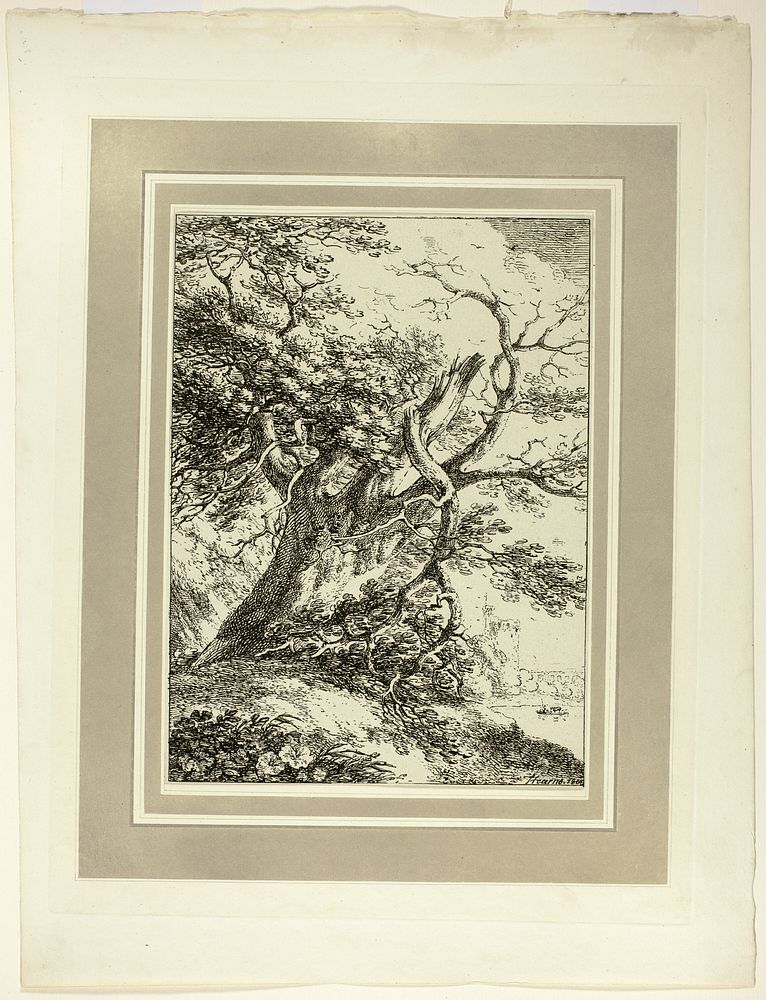 Old Tree, from the first issue of Specimens of Polyautography by Thomas Hearne
