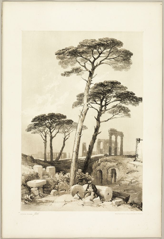Stone Pines, from The Park and the Forest by James Duffield Harding