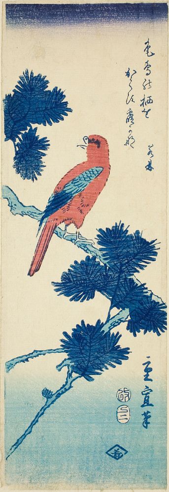 Bird on pine tree by Utagawa Hiroshige II (Shigenobu)