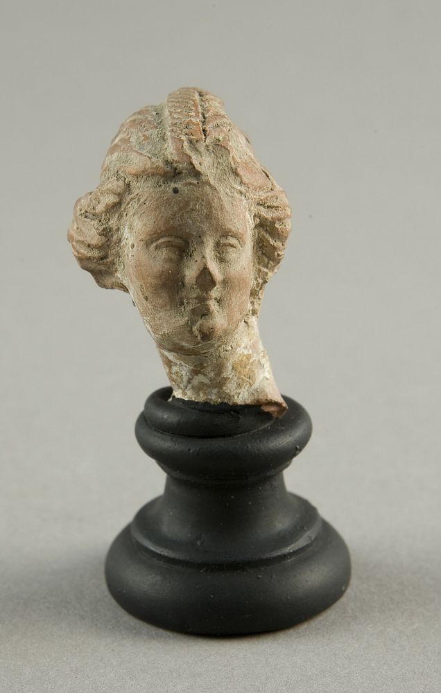 Head of a Woman by Ancient Greek