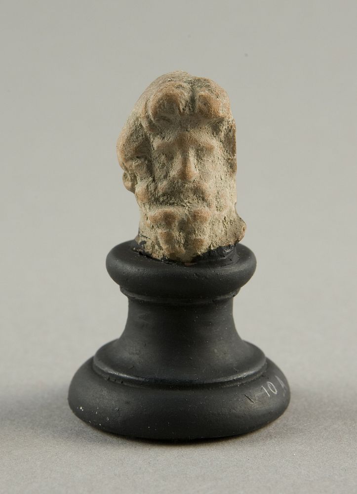 Head of a Man by Ancient Greek