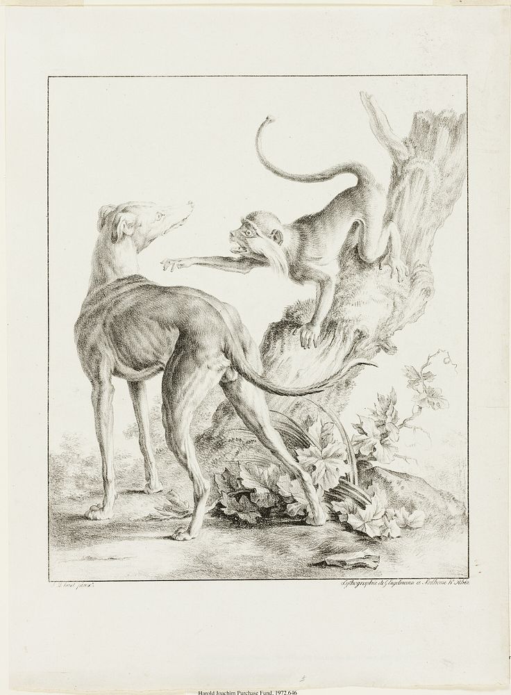 Dog and Monkey by Gottfried Engelmann