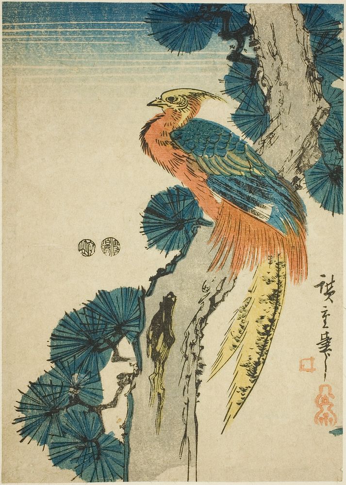 Pheasant and pine tree by Utagawa Hiroshige