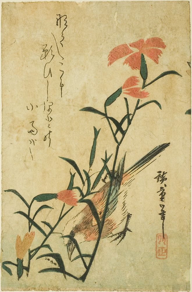 Bird and wild carnation by Utagawa Hiroshige