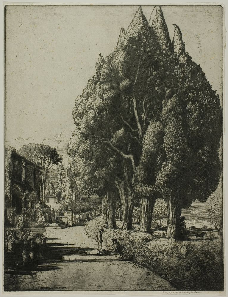 The Cypress Grove by Donald Shaw MacLaughlan