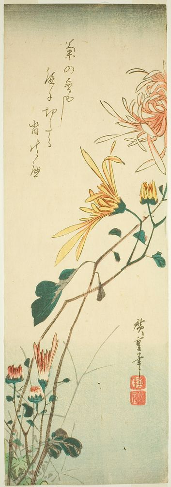 Chrysanthemums by Utagawa Hiroshige
