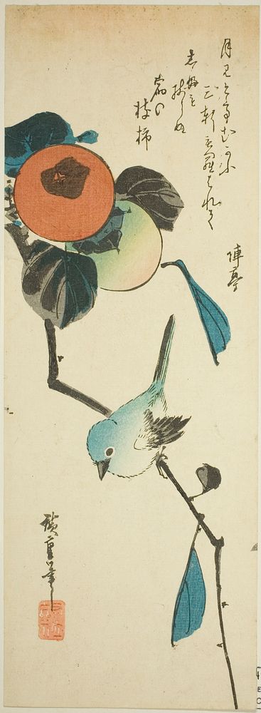 Japanese white-eye and persimmons by Utagawa Hiroshige