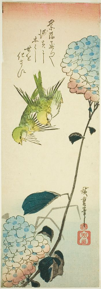 Green birds and hydrangeas by Utagawa Hiroshige