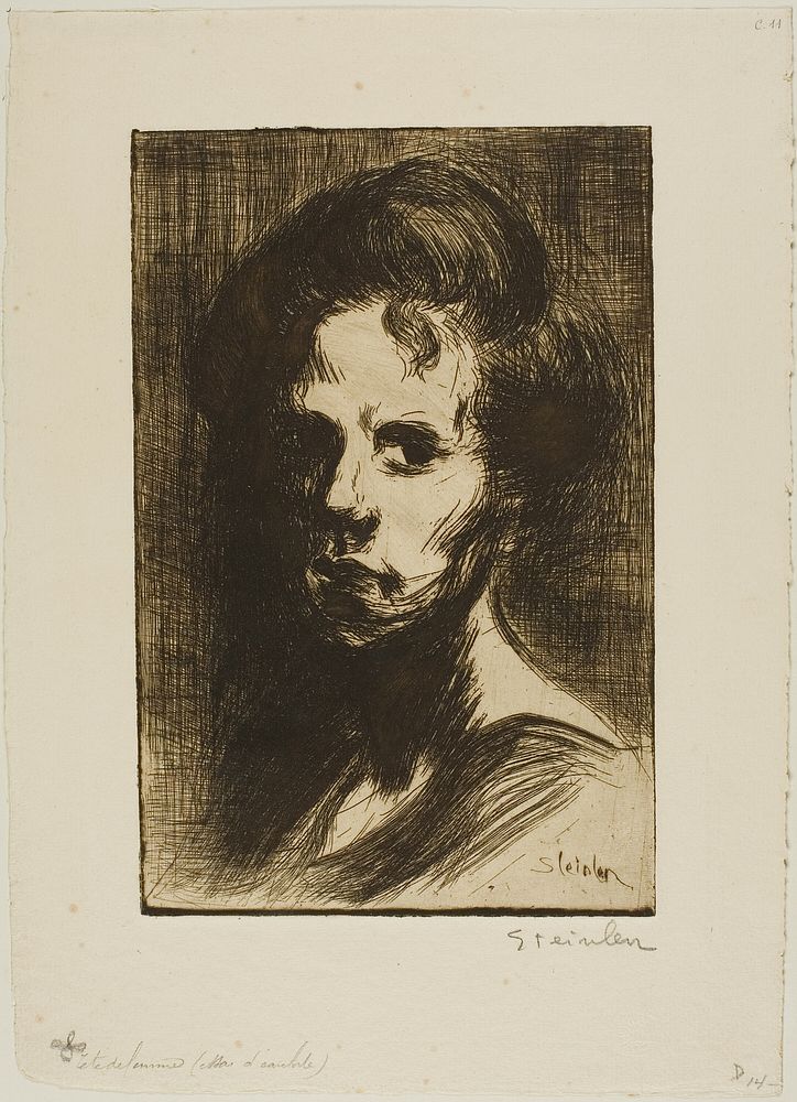Head of a Woman, plate I by Théophile-Alexandre Pierre Steinlen