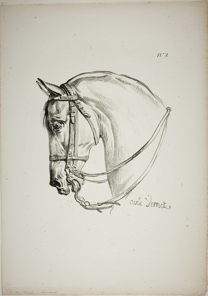 Detail of Horse's Head, Enlarged to Triple Size, Norman Royal Guard, No. 2 by Carle Vernet