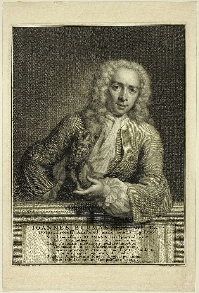 J. Burmannus by Jacobus Houbraken