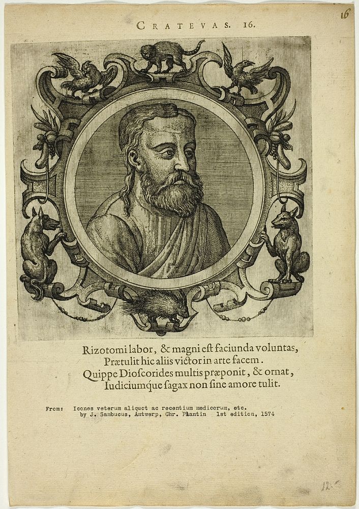 Portrait of Crateuas by Johannes Sambucus (Author)