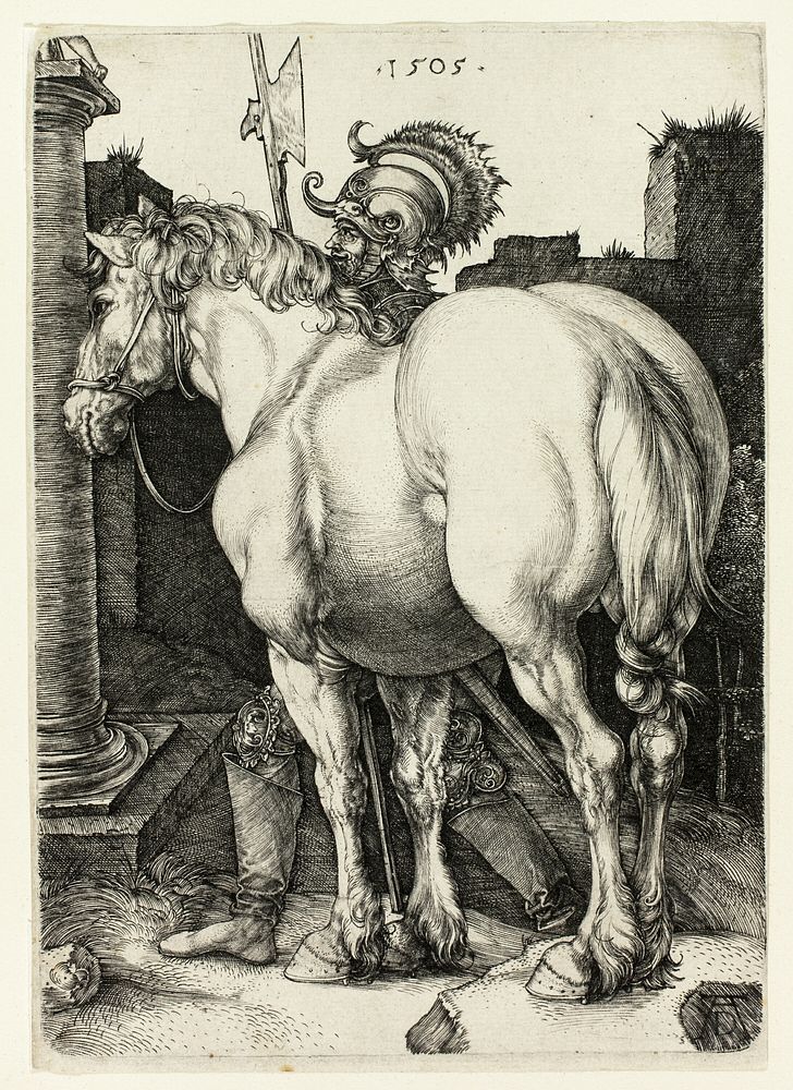 The Large Horse by Albrecht Dürer