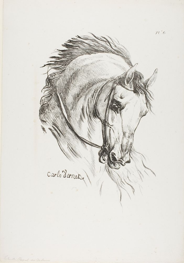 Detail of Horse's Head, Enlarged to Triple Size, Hussard, Royal Guard, No. 6 by Carle Vernet