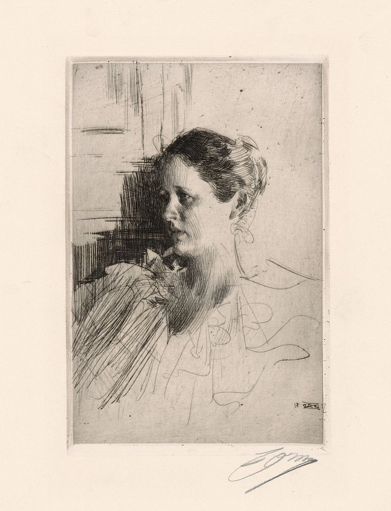 Mrs. Nagel by Anders Zorn
