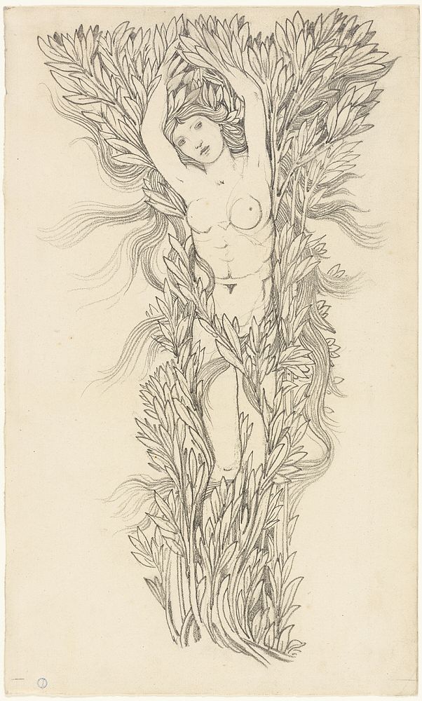 Daphne by Style of Sir Edward Burne-Jones