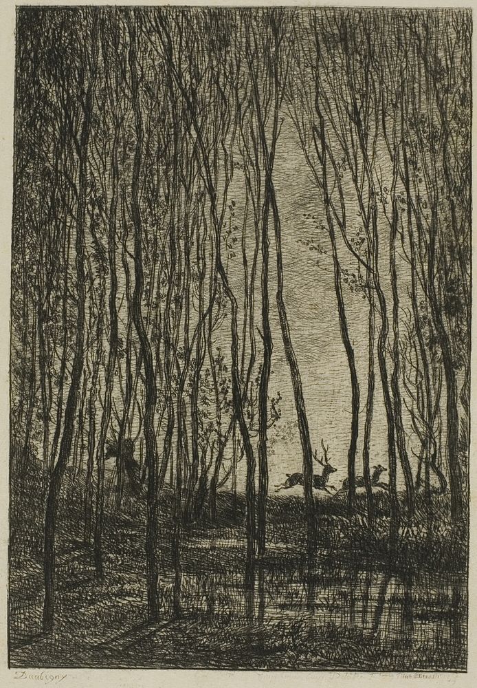 Stags in the Woods by Charles François Daubigny