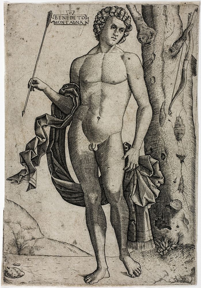 A Young Man with an Arrow by Benedetto Montagna