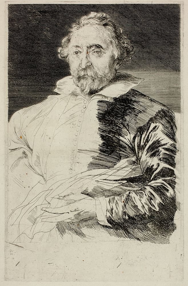 Willem de Vos by Anthony van Dyck
