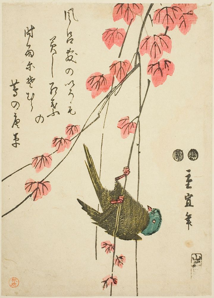 Small bird and ivy by Utagawa Hiroshige II (Shigenobu)