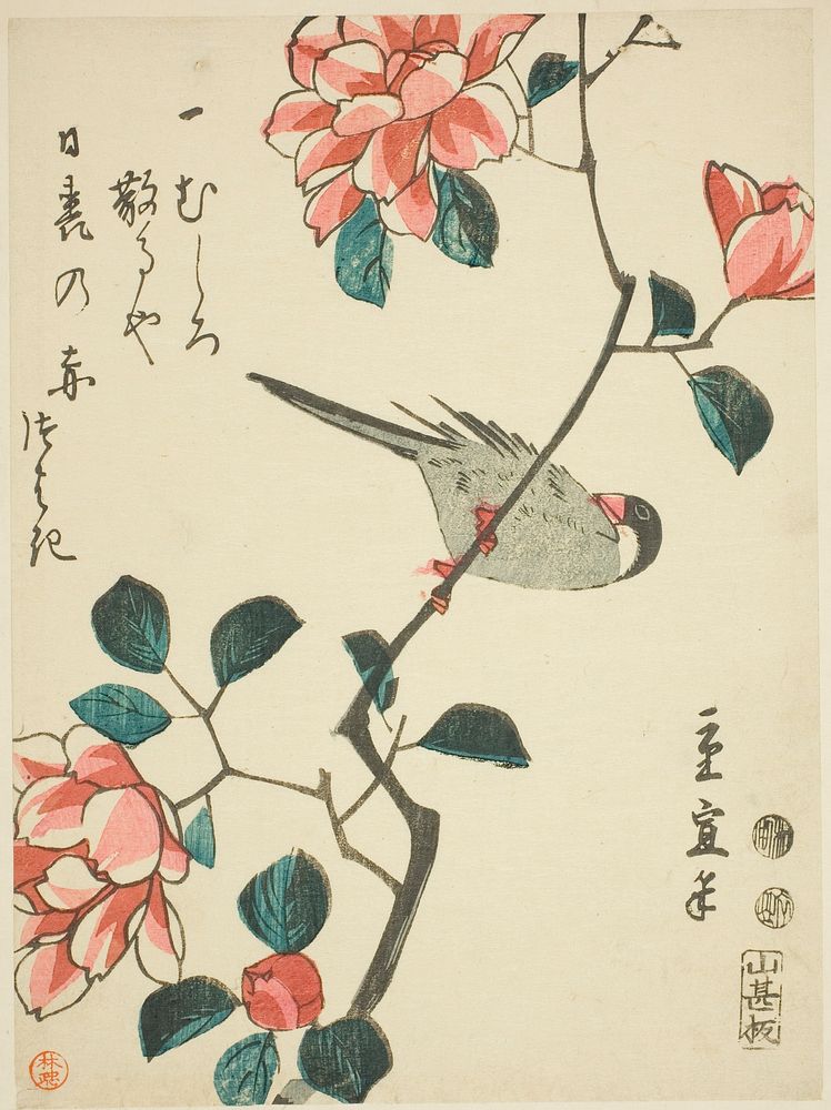 Sparrow on camellia branch by Utagawa Hiroshige II (Shigenobu)
