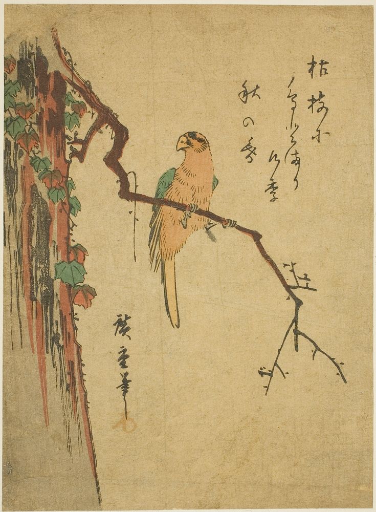 Macaw on ivy-covered tree by Utagawa Hiroshige