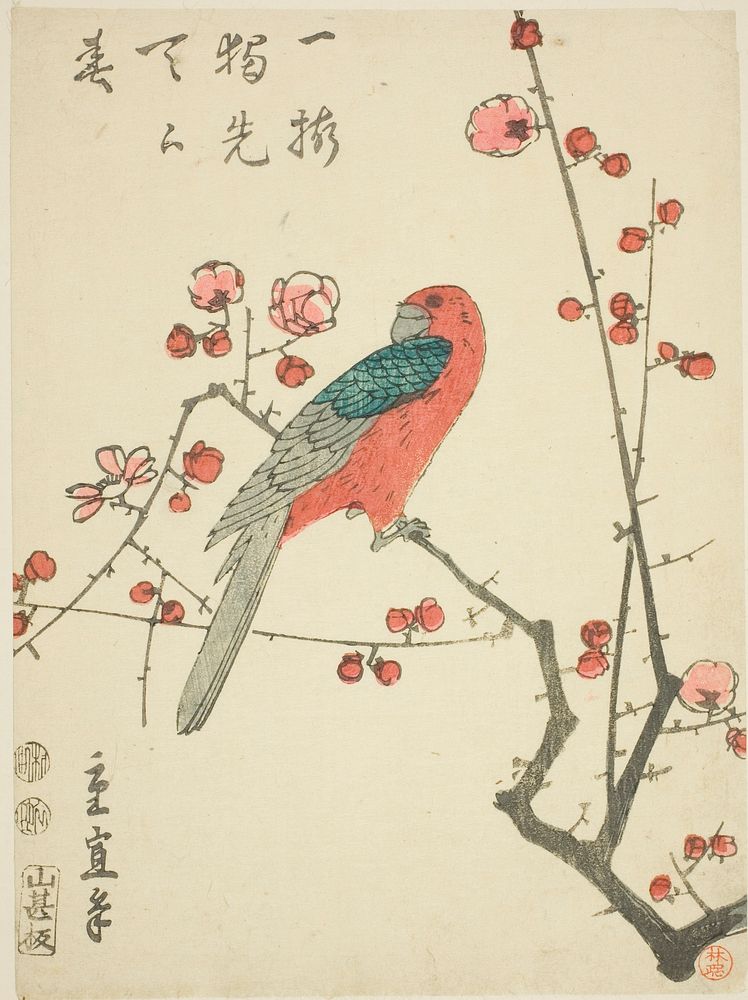 Parrot on plum branch by Utagawa Hiroshige II (Shigenobu)