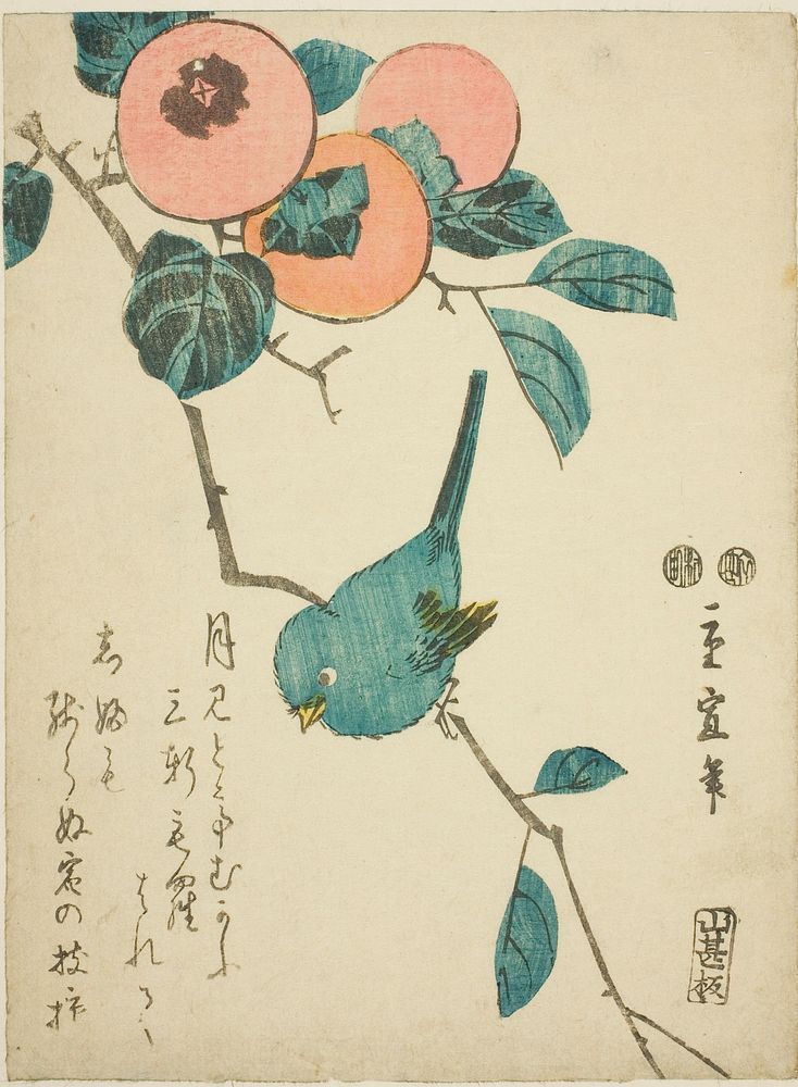 Japanese white-eye and persimmons by Utagawa Hiroshige II (Shigenobu)