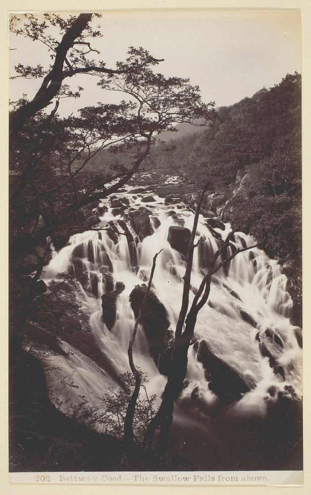 Bettw-s-y Coed, The Swallow Falls from Above by Francis Bedford