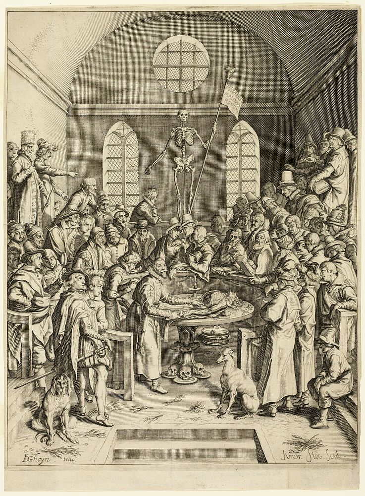 The Anatomical Lesson of Professor Pauw by Jacob de Gheyn, II