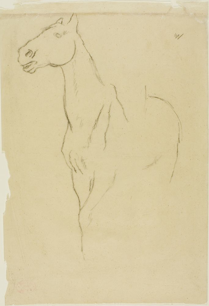 Horse Turned Three-Quarters by Hilaire Germain Edgar Degas