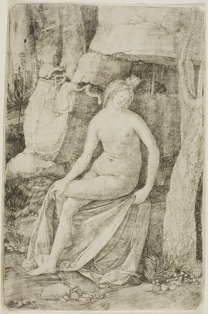 Cleopatra by Jacopo de' Barbari